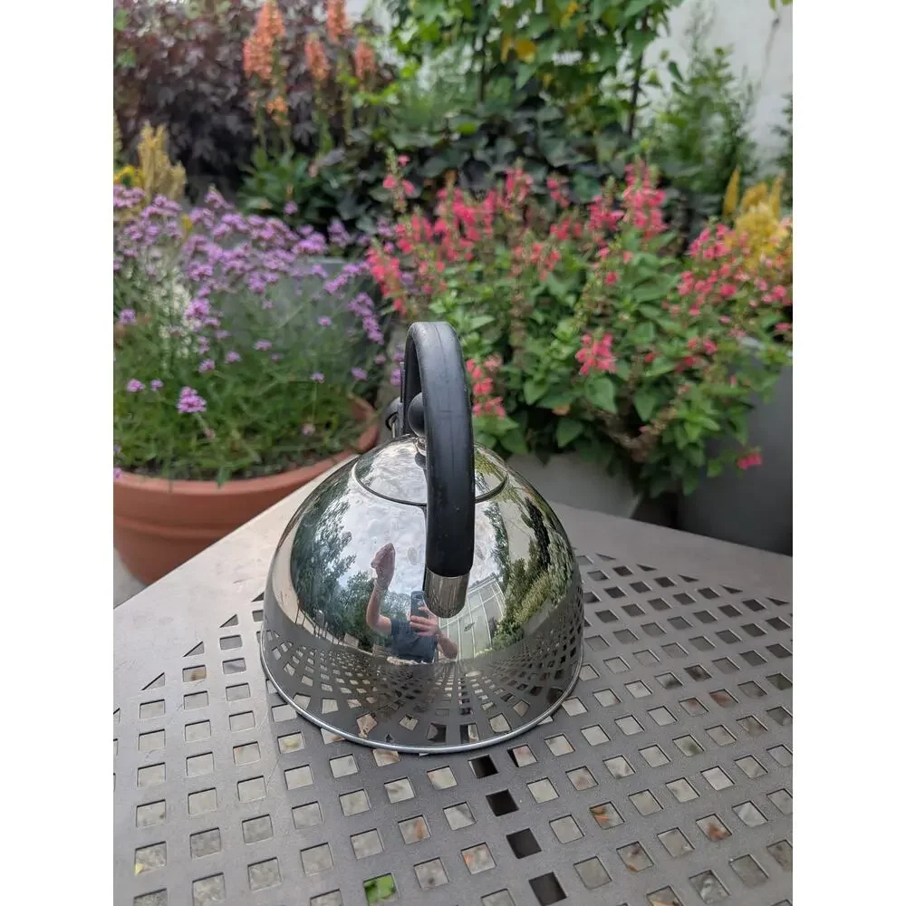 Stainless Steel Tea Kettle Whistling Teakettle 8